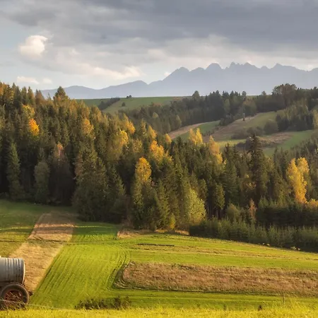Forest Stodoly Chalet