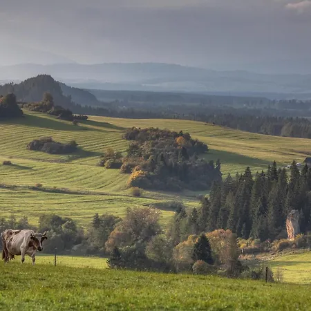 Forest Stodoly Chalet