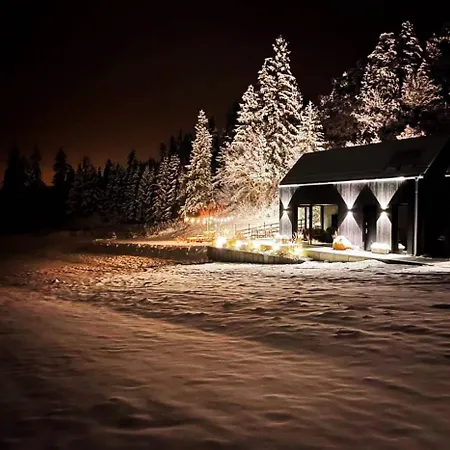 Forest Stodoly
