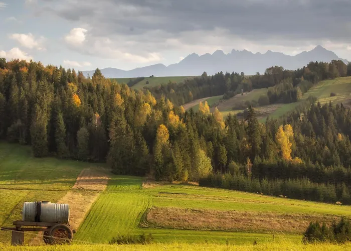 Forest Stodoly Chalet