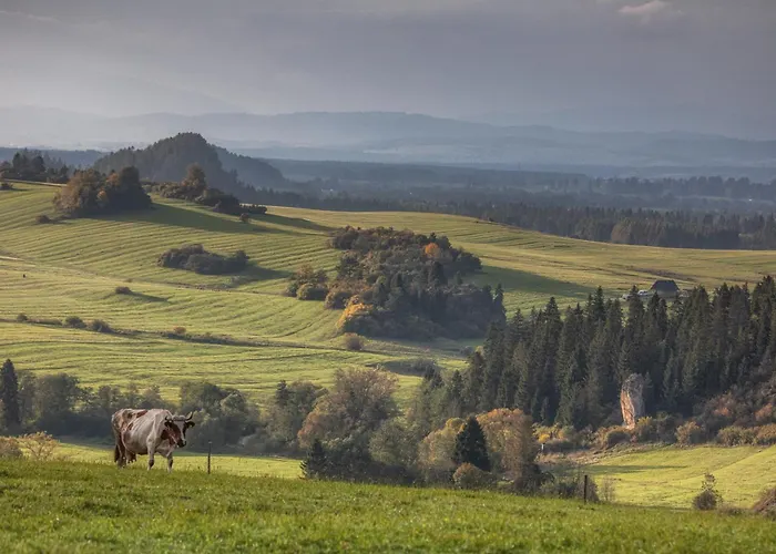 Forest Stodoly Chalet