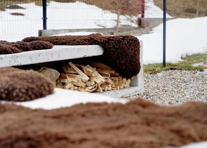 Forest Stodoly Chalet